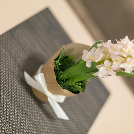 Apartment Dositejeva 13 Beograd Ngoại thất bức ảnh